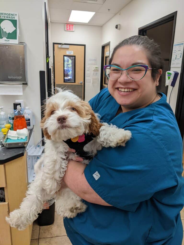 Hana Hinds finds success, independence at veterinary job - Rise