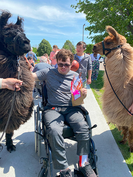 A person served by Rise sits in his wheelchair while petting a dark brown llama.