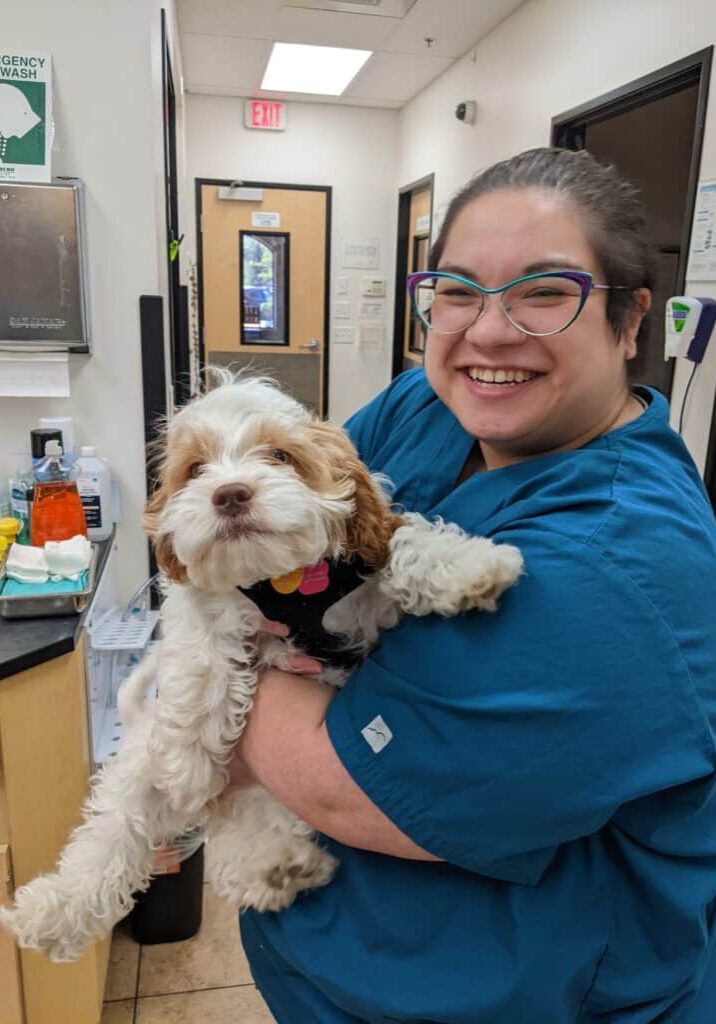 Woman wearing glasses and blue scrubs holds a brown and white dog.