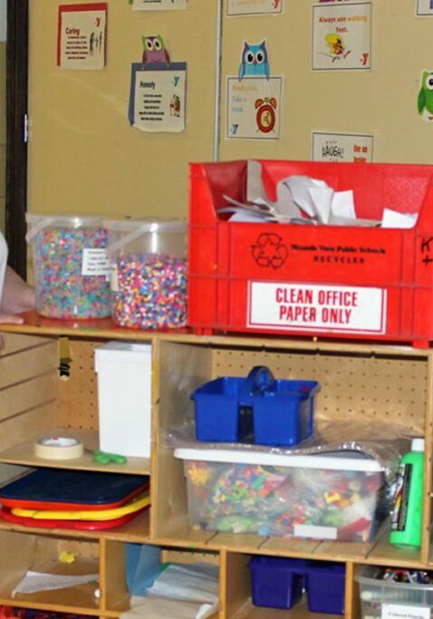 developmental disabilities lady working in classroom